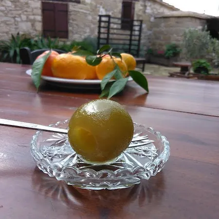 Teacher's House Maróni