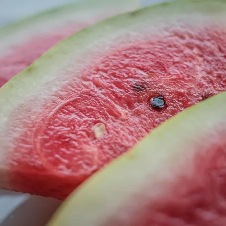 Teacher's House Casa de hóspedes Maroni