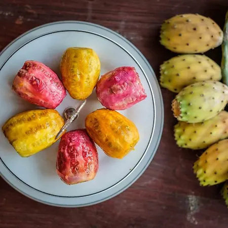 Teacher's House Maroni