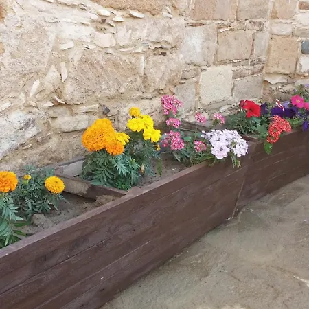 Teacher's House Maroni