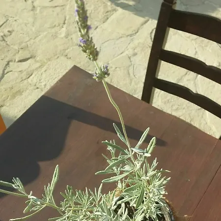 Teacher's House Maison d'hôtes Maroni