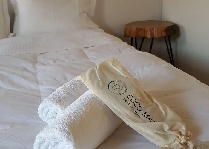 Teacher's House Guest house 3*