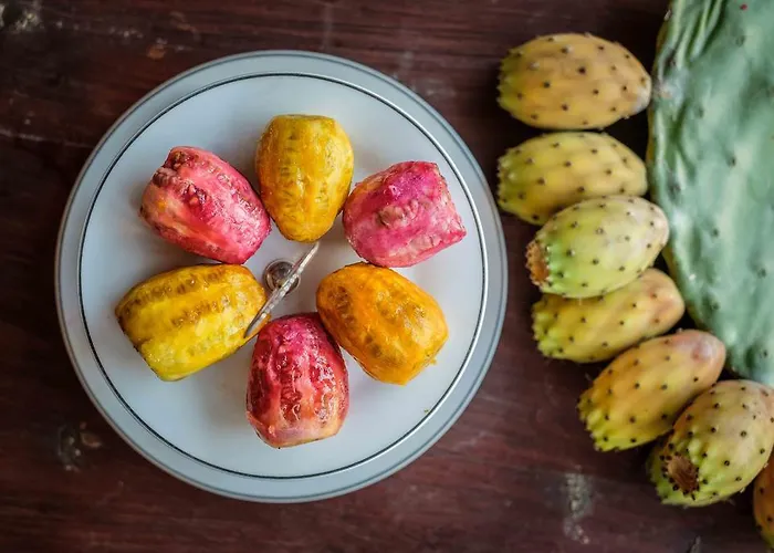 Teacher's House Maróni