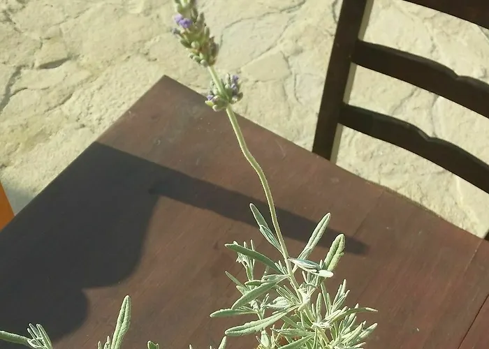 το σπίτι του δασκάλου Πανσιόν Μαρώνι